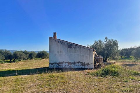 Landejendom i Aldover, Tarragona, Aldover - € 42.500 | Ref: 4853FZ/6931 - foto 29