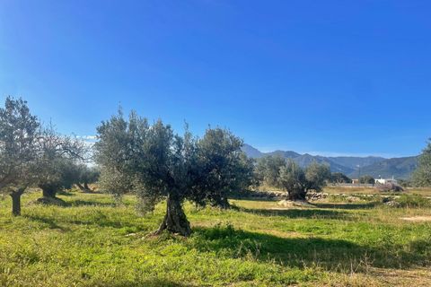 Landejendom i Aldover, Tarragona, Aldover - € 42.500 | Ref: 4853FZ/6931 - foto 32