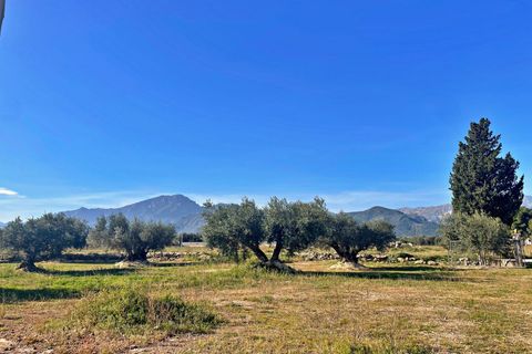 Landejendom i Aldover, Tarragona, Aldover - € 42.500 | Ref: 4853FZ/6931 - foto 33