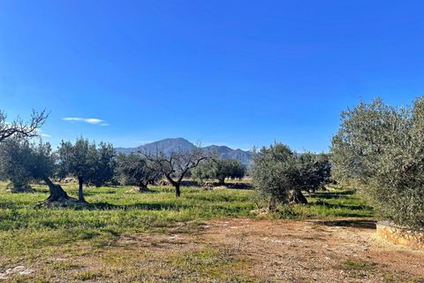 Landejendom i Aldover, Tarragona, Aldover - € 42.500 | Ref: 4853FZ/6931 - foto 35