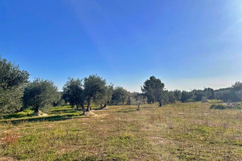 Landejendom i Aldover, Tarragona, Aldover - € 42.500 | Ref: 4853FZ/6931 - foto 37