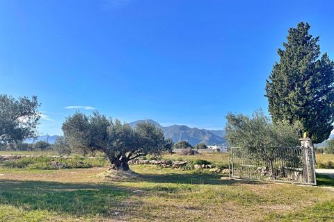 Landejendom i Aldover, Tarragona, Aldover - € 42.500 | Ref: 4853FZ/6931 - foto 38