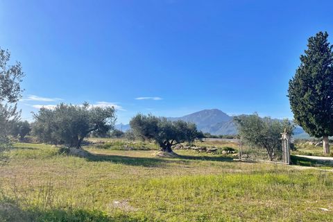Landejendom i Aldover, Tarragona, Aldover - € 42.500 | Ref: 4853FZ/6931 - foto 39