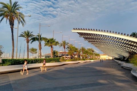 Villa i Torrevieja, Alicante, Torrevieja - € 169.999 | Ref: B-3451 - foto 46