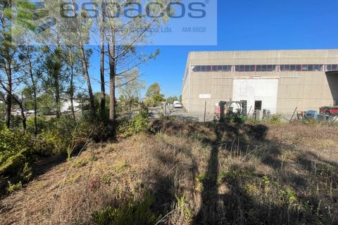 Helårsgrund i Mafra, Lisbon, Mafra - € 600.000 | Ref: 5451/RC - foto 2