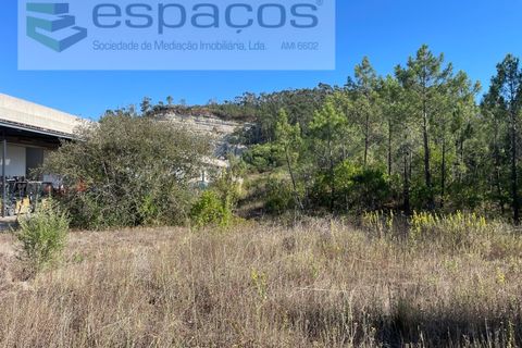 Helårsgrund i Mafra, Lisbon, Mafra - € 600.000 | Ref: 5451/RC - foto 3