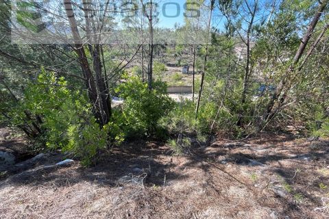 Helårsgrund i Mafra, Lisbon, Mafra - € 600.000 | Ref: 5451/RC - foto 4
