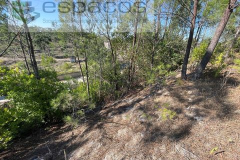 Helårsgrund i Mafra, Lisbon, Mafra - € 600.000 | Ref: 5451/RC - foto 5