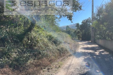 Helårsgrund i Mafra, Lisbon, Mafra - € 600.000 | Ref: 5451/RC - foto 6