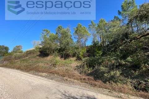 Helårsgrund i Mafra, Lisbon, Mafra - € 600.000 | Ref: 5451/RC - foto 7