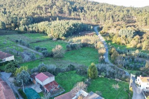 Helårsgrund i Miranda do Corvo, Coimbra, Miranda do Corvo - € 45.000 | Ref: 132898 - foto 4