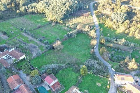 Helårsgrund i Miranda do Corvo, Coimbra, Miranda do Corvo - € 45.000 | Ref: 132898 - foto 6