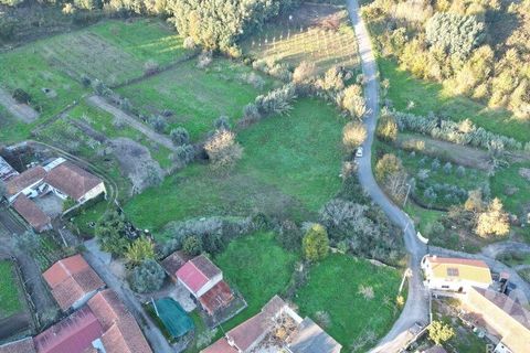 Helårsgrund i Miranda do Corvo, Coimbra, Miranda do Corvo - € 45.000 | Ref: 132898 - foto 7
