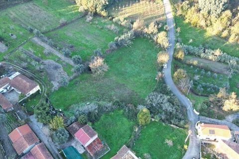 Helårsgrund i Miranda do Corvo, Coimbra, Miranda do Corvo - € 45.000 | Ref: 132898 - foto 8