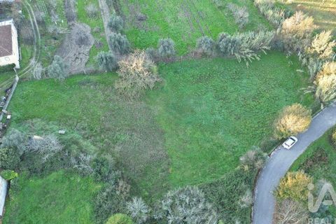 Helårsgrund i Miranda do Corvo, Coimbra, Miranda do Corvo - € 45.000 | Ref: 132898 - foto 13