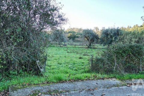 Helårsgrund i Miranda do Corvo, Coimbra, Miranda do Corvo - € 45.000 | Ref: 132898 - foto 15
