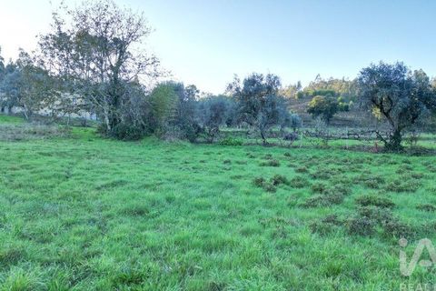Helårsgrund i Miranda do Corvo, Coimbra, Miranda do Corvo - € 45.000 | Ref: 132898 - foto 16