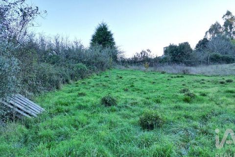 Helårsgrund i Miranda do Corvo, Coimbra, Miranda do Corvo - € 45.000 | Ref: 132898 - foto 17