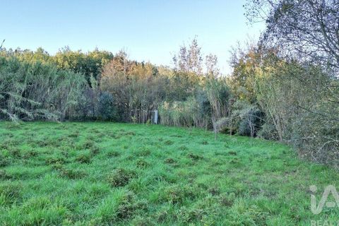 Helårsgrund i Miranda do Corvo, Coimbra, Miranda do Corvo - € 45.000 | Ref: 132898 - foto 18