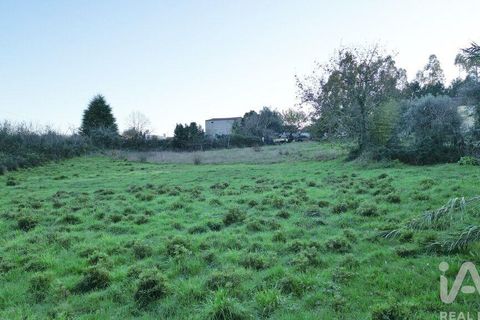 Helårsgrund i Miranda do Corvo, Coimbra, Miranda do Corvo - € 45.000 | Ref: 132898 - foto 19