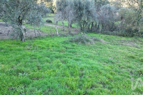 Helårsgrund i Miranda do Corvo, Coimbra, Miranda do Corvo - € 45.000 | Ref: 132898 - foto 22