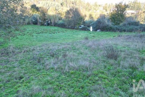 Helårsgrund i Miranda do Corvo, Coimbra, Miranda do Corvo - € 45.000 | Ref: 132898 - foto 23