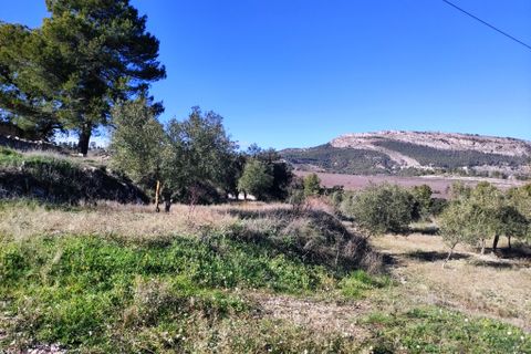 Herregård i Benifallim, Alicante, Benifallim - € 119 000 | Ref: 2563 - foto 19