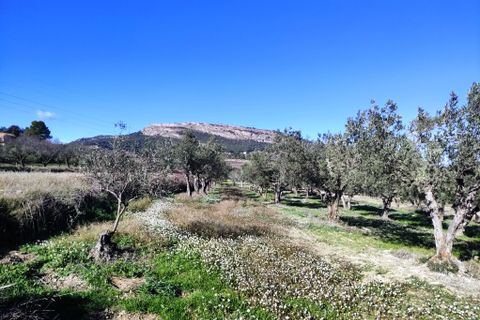 Herregård i Benifallim, Alicante, Benifallim - € 119 000 | Ref: 2563 - foto 20
