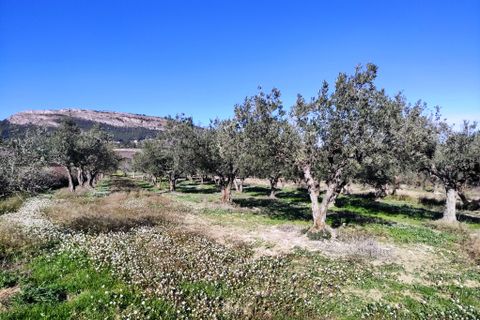 Herregård i Benifallim, Alicante, Benifallim - € 119 000 | Ref: 2563 - foto 21