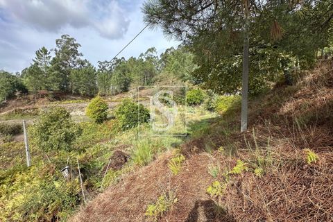 Helårsgrund i Amarante, Porto, Amarante - € 55.000 | Ref: 20251142CG/12937 - foto 3
