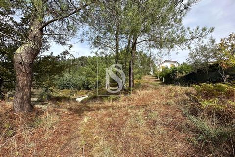 Helårsgrund i Amarante, Porto, Amarante - € 55.000 | Ref: 20251142CG/12937 - foto 5