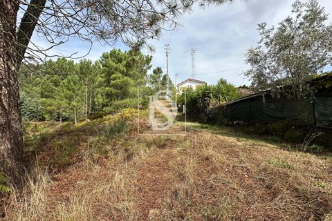 Helårsgrund i Amarante, Porto, Amarante - € 55.000 | Ref: 20251142CG/12937 - foto 7