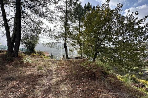 Helårsgrund i Amarante, Porto, Amarante - € 55.000 | Ref: 20251142CG/12937 - foto 9