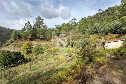 Helårsgrund i Amarante, Porto, Amarante - € 55.000 | Ref: 20251142CG/12937 - foto 10