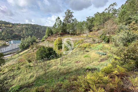 Helårsgrund i Amarante, Porto, Amarante - € 55.000 | Ref: 20251142CG/12937 - foto 11