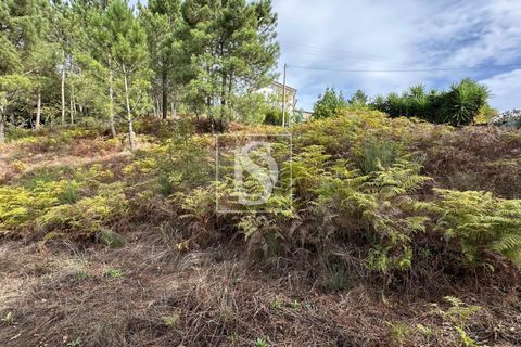 Helårsgrund i Amarante, Porto, Amarante - € 55.000 | Ref: 20251142CG/12937 - foto 13