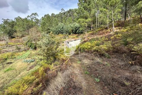 Helårsgrund i Amarante, Porto, Amarante - € 55.000 | Ref: 20251142CG/12937 - foto 14