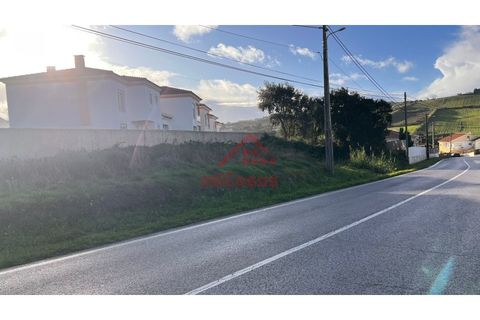 Helårsgrund i A dos Cunhados e Maceira, Lisbon, A dos Cunhados e Maceira - € 105.000 | Ref: M3591 TVD - foto 12