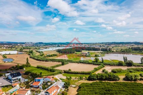 Helårsgrund i A dos Cunhados e Maceira, Lisbon, A dos Cunhados e Maceira - € 105.000 | Ref: M3591 TVD - foto 24