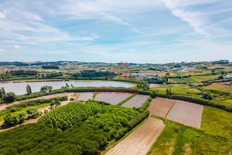 Helårsgrund i A dos Cunhados e Maceira, Lisbon, A dos Cunhados e Maceira - € 105.000 | Ref: M3591 TVD - foto 25