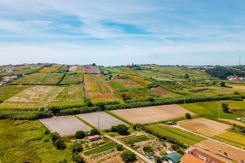 Helårsgrund i A dos Cunhados e Maceira, Lisbon, A dos Cunhados e Maceira - € 105.000 | Ref: M3591 TVD - foto 26