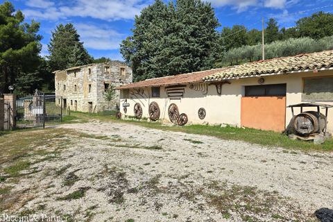 Villa a Assisi, Perugia, Assisi - € 450.000 | Ref: 1895 - foto 4