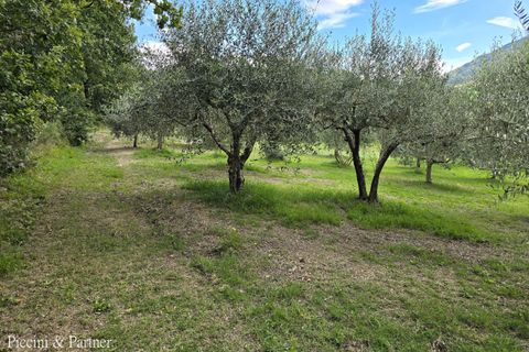 Villa a Assisi, Perugia, Assisi - € 450.000 | Ref: 1895 - foto 7