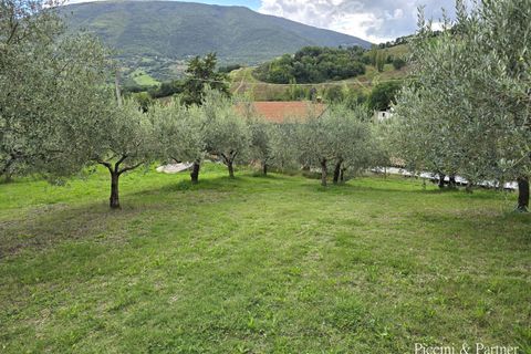 Villa a Assisi, Perugia, Assisi - € 450.000 | Ref: 1895 - foto 8