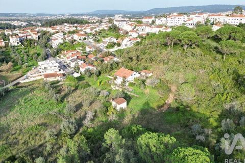 Byhus i Coimbra, Coimbra, Coimbra - € 450.000 | Ref: 131911 - foto 3