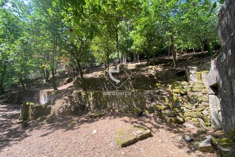 Byhus i Arcos de Valdevez, Viana do Castelo, Arcos de Valdevez - € 45.000 | Ref: AV5947 - foto 7