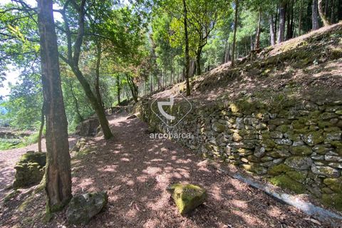 Byhus i Arcos de Valdevez, Viana do Castelo, Arcos de Valdevez - € 45.000 | Ref: AV5947 - foto 9