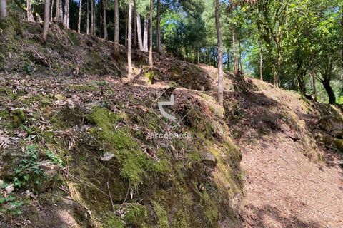 Byhus i Arcos de Valdevez, Viana do Castelo, Arcos de Valdevez - € 45.000 | Ref: AV5947 - foto 12