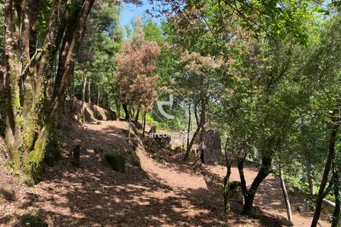 Byhus i Arcos de Valdevez, Viana do Castelo, Arcos de Valdevez - € 45.000 | Ref: AV5947 - foto 13