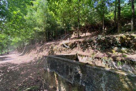 Byhus i Arcos de Valdevez, Viana do Castelo, Arcos de Valdevez - € 45.000 | Ref: AV5947 - foto 15